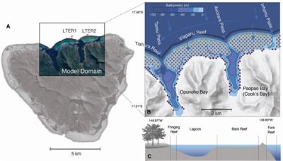 A space-time mosaic of seawater carbonate chemistry conditions in the north-shore Moorea coral reef system